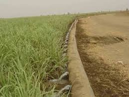 ارایه پیشنهاد آیین نامه اجرایی انتقال آب کشاورزی به اراضی دشت سیستان