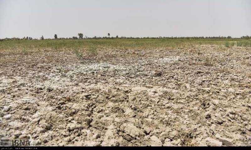 خشکسالی به حدود 95 درصد جمعیت نیمروز آسیب جدی وارد کرد