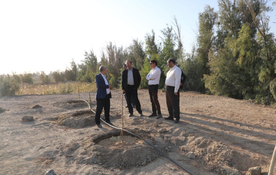 ظرفیت‌های پژوهشگاه زابل، طرح‌های مقابله با بیابان‌زایی را تسریع می‌کند