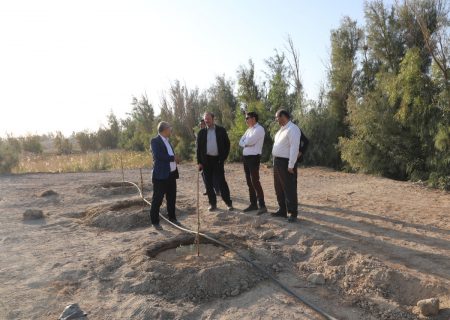 ظرفیت‌های پژوهشگاه زابل، طرح‌های مقابله با بیابان‌زایی را تسریع می‌کند